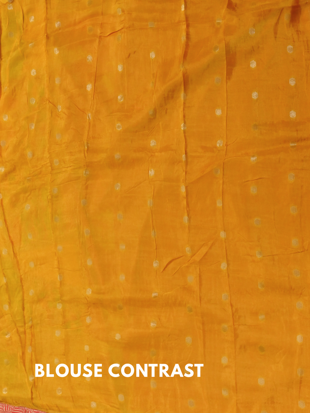 Pure Dola Viscose Saree with Menakari Weaving By Zaridhaga