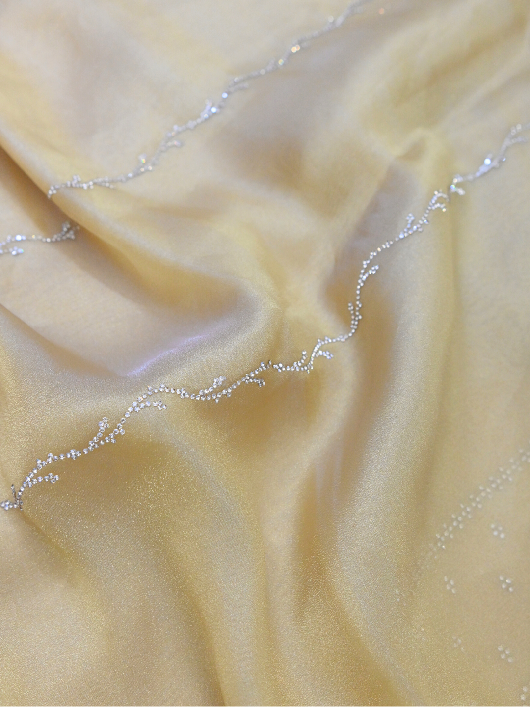 Designer Golden Jimmy Choo Organza Silk Saree by Zaridhaga