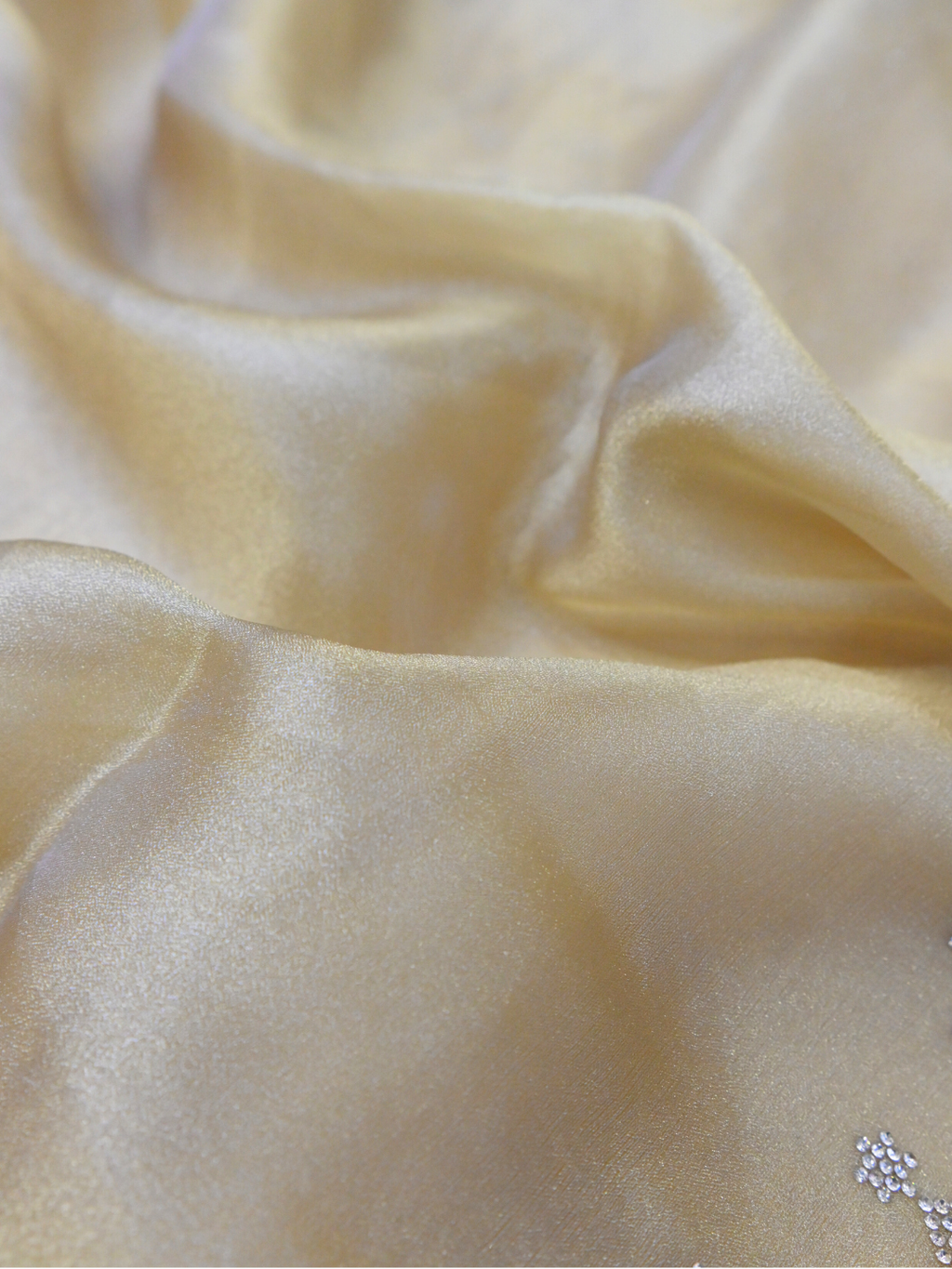 Designer Golden Jimmy Choo Organza Silk Saree by Zaridhaga