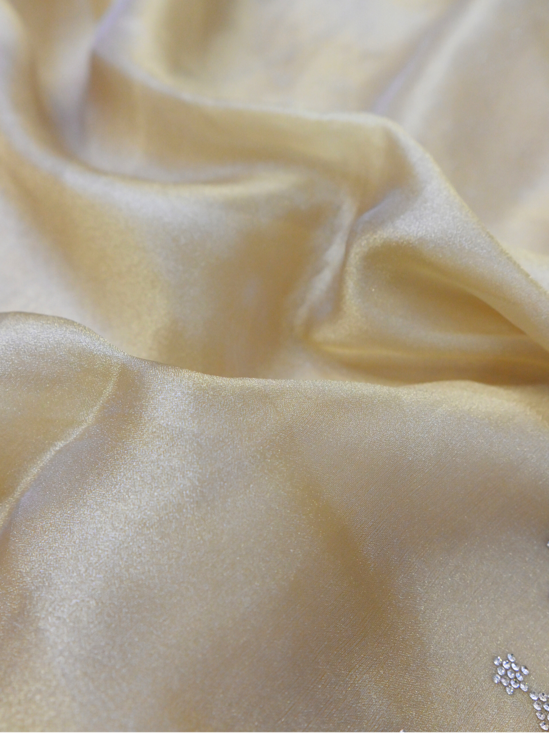 Designer Golden Jimmy Choo Organza Silk Saree by Zaridhaga